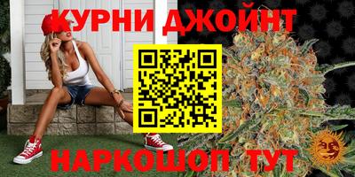 сатива Нальчик