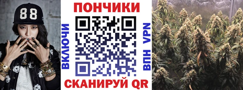 дарнет шоп  Петропавловск-Камчатский  Бошки марихуана план 
